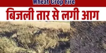 Wheat Crop Fire